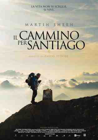 IL CAMMINO PER SANTIAGO (2010) (-)
