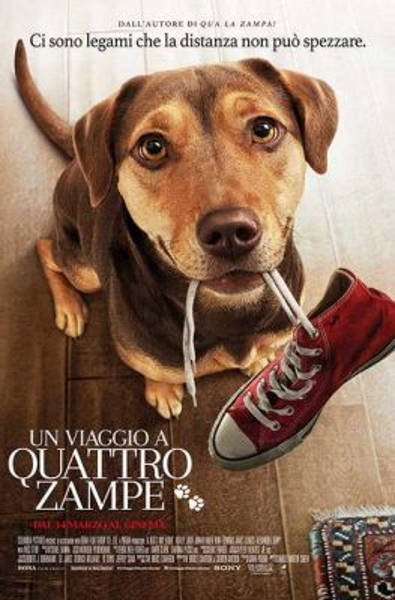 UN VIAGGIO A QUATTRO ZAMPE (2019)