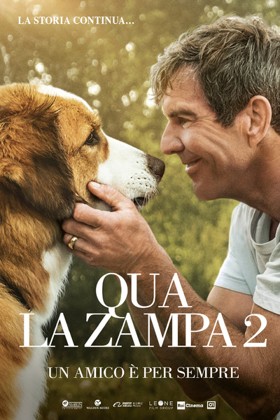 QUA LA ZAMPA 2 - Un amico e' per sempre (2019)